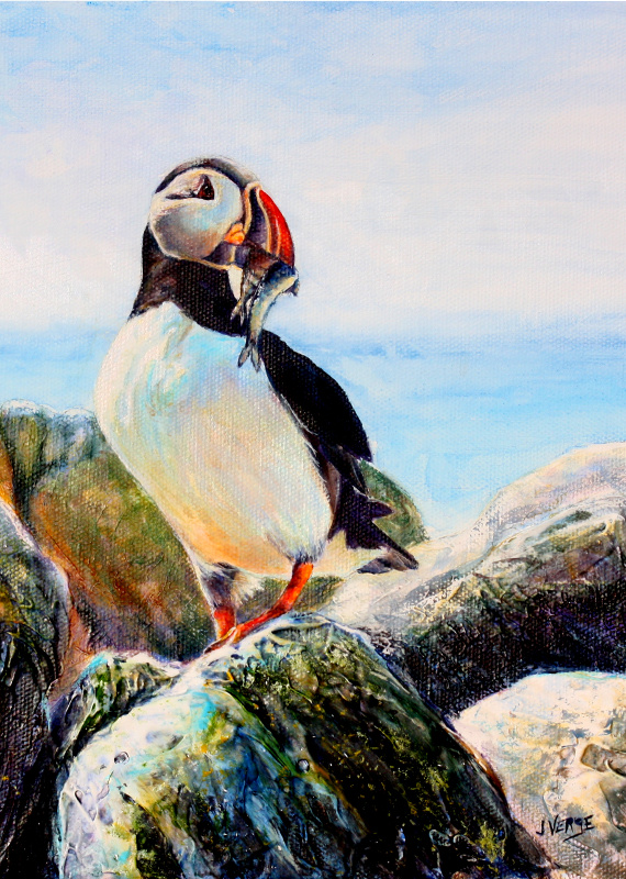 Atlantic Puffin