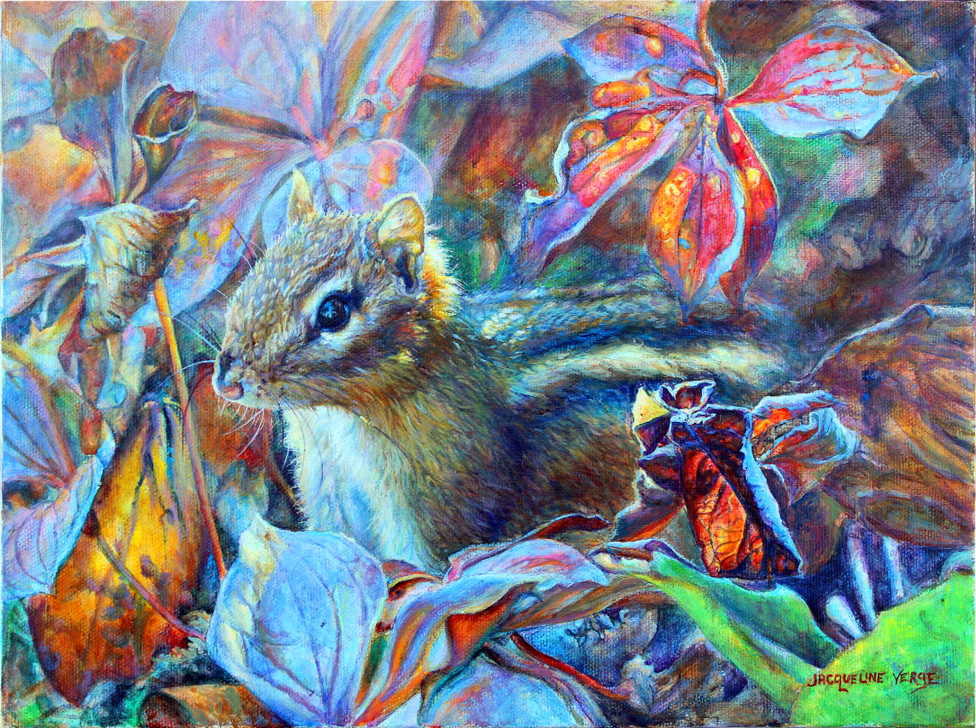 Chipmunk in fall bunchberry foliage